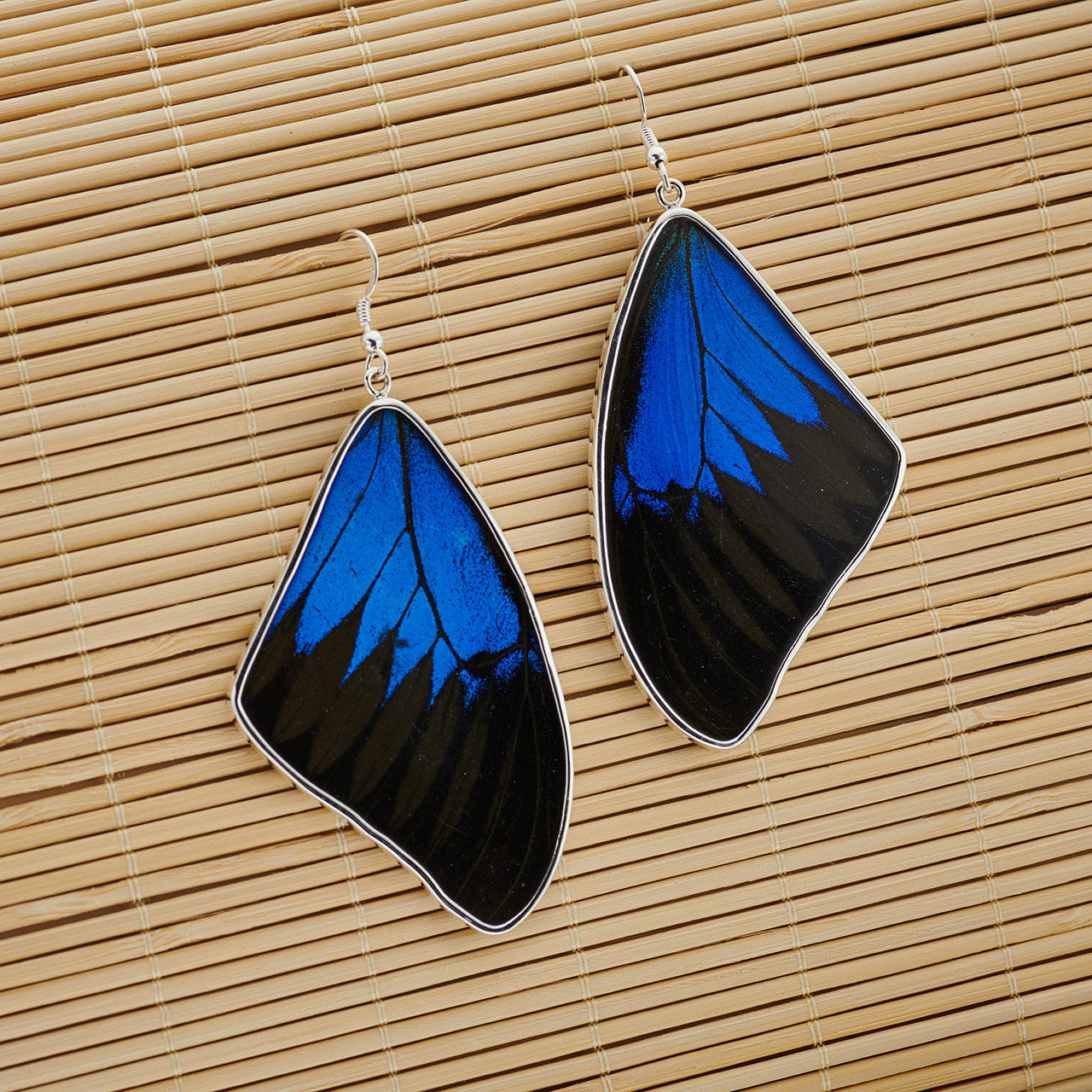 MOUNTAIN BLUE FULL FOREWING FINE SILVER EARRINGS