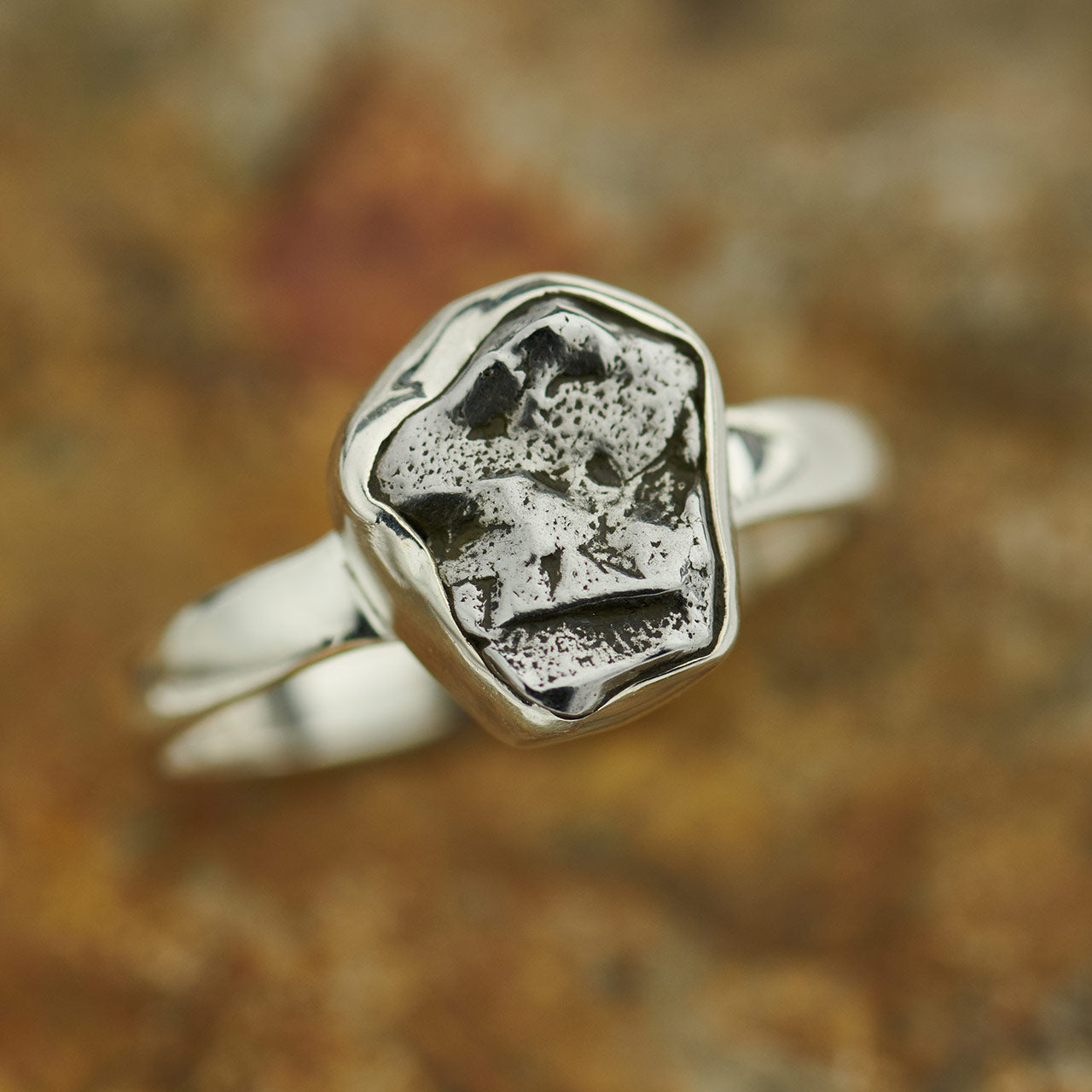 METEORITE CAMPO DEL CIELO STERLING SILVER RING