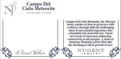 METEORITE CAMPO DEL CIELO Sterling Silver Statement Ring
